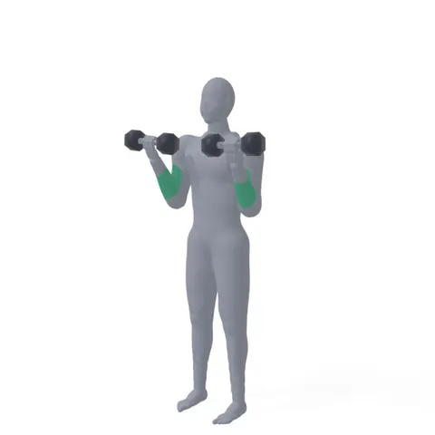Dumbbell Curl demo