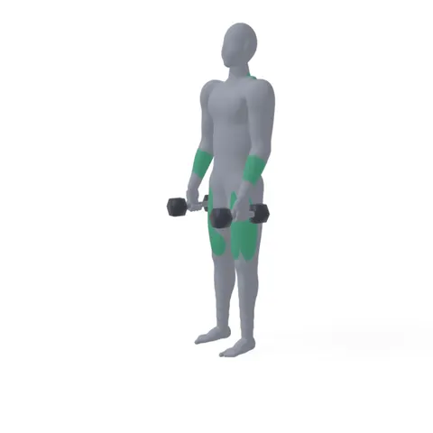 Dumbbell Deadlift demo