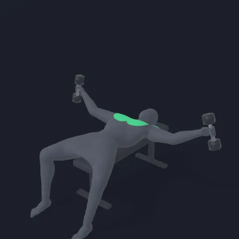Dumbbell Chest Fly demo