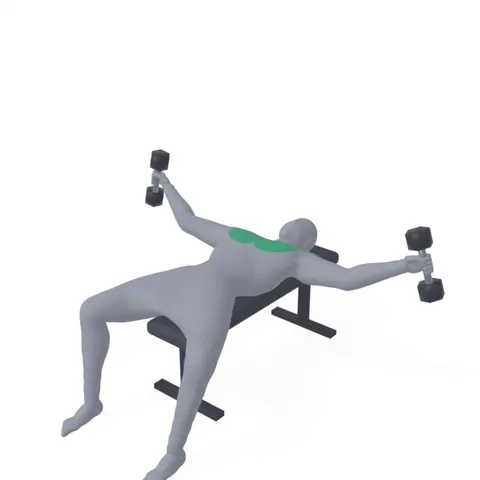 Dumbbell Chest Fly demo