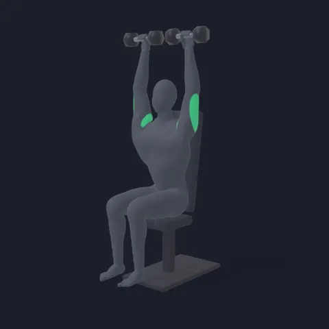 Seated Dumbbell Shoulder Press demo
