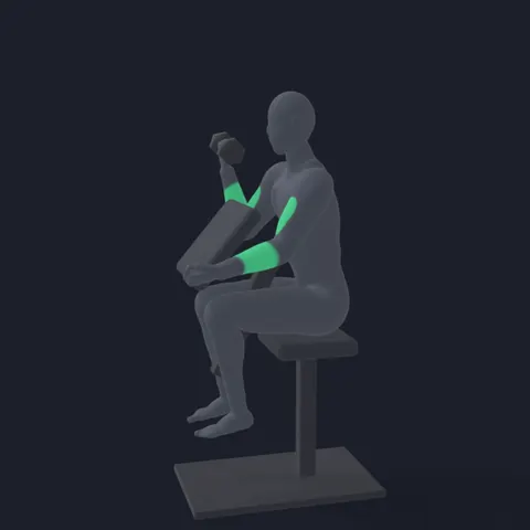 Dumbbell Preacher Curl demo