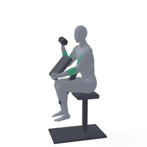 Dumbbell Preacher Curl demo