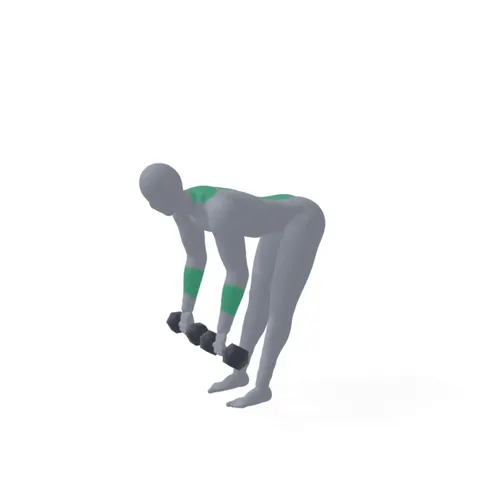 Dumbbell Romanian Deadlift demo