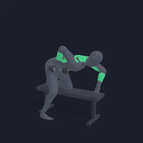 Dumbbell Row demo