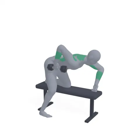 Dumbbell Row demo