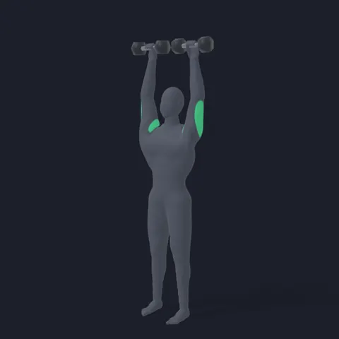 Standing Dumbbell Shoulder Press demo