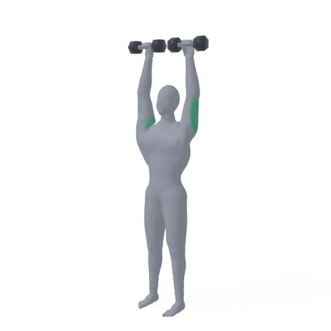Standing Dumbbell Shoulder Press demo