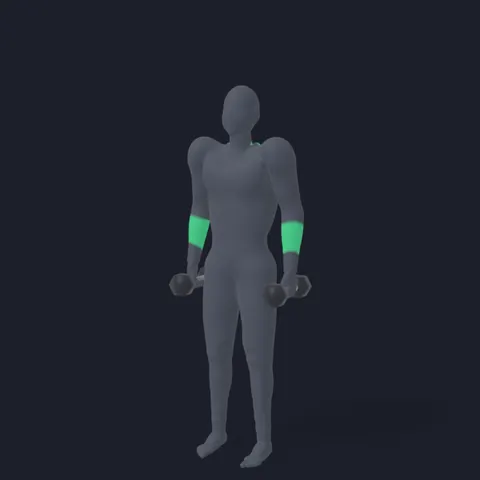 Dumbbell Shrug demo