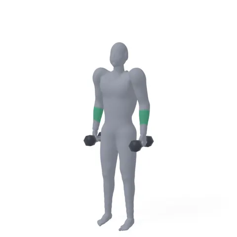 Dumbbell Shrug demo
