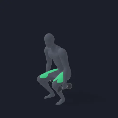 Dumbbell Squat demo
