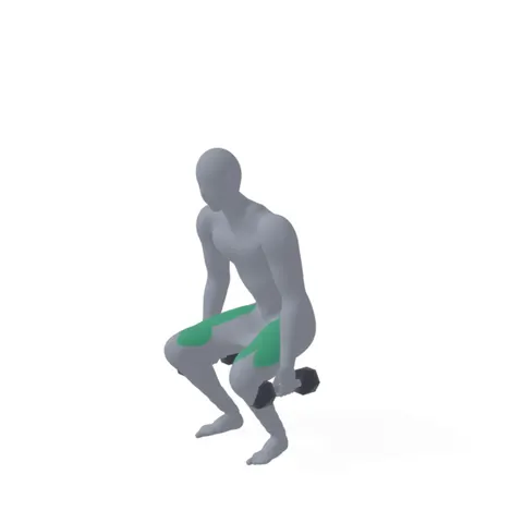 Dumbbell Squat demo