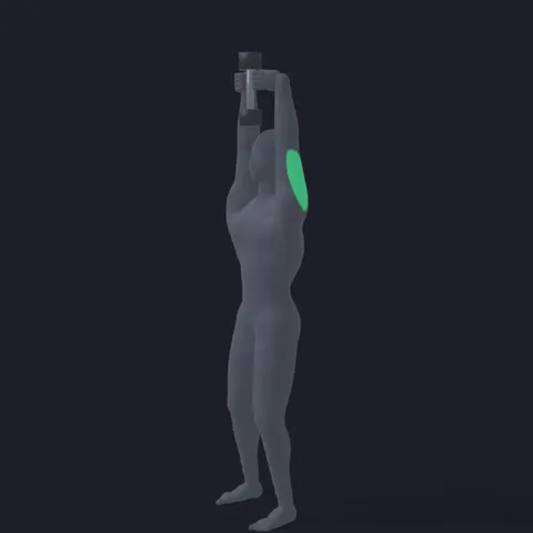 Dumbbell Standing Tricep Extension demo