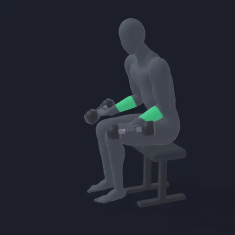 Dumbbell Wrist Curl demo