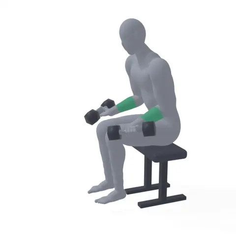 Dumbbell Wrist Curl demo