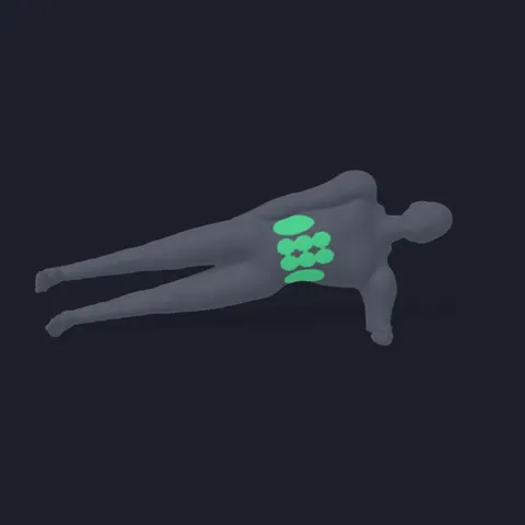 Dynamic Side Plank demo