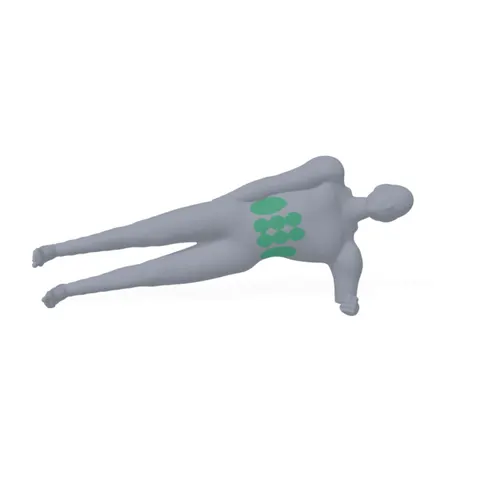 Dynamic Side Plank demo