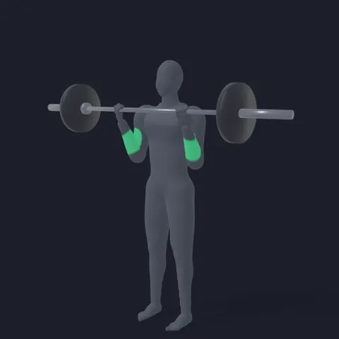 EZ Curl demo