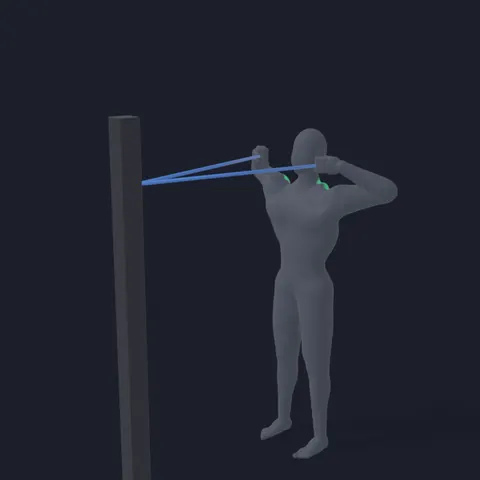 Banded Face Pull demo