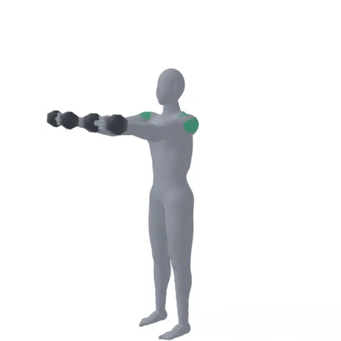 Dumbbell Front Raise demo