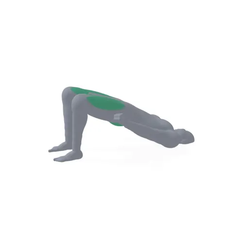 Glute Bridge demo