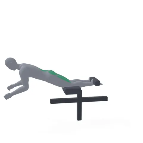 Glute Ham Raise demo