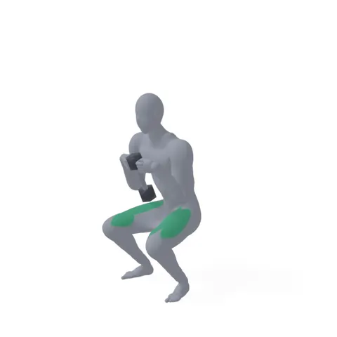 Goblet Squat demo
