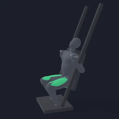 Hack Squat demo