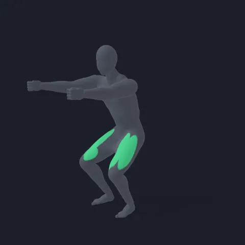 Half Air Squat demo