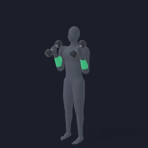 Hammer Curl demo