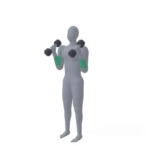 Hammer Curl demo