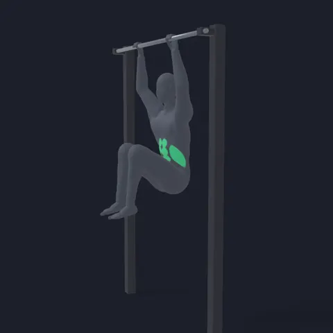 Hanging Knee Raise demo
