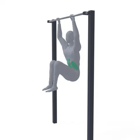 Hanging Knee Raise demo