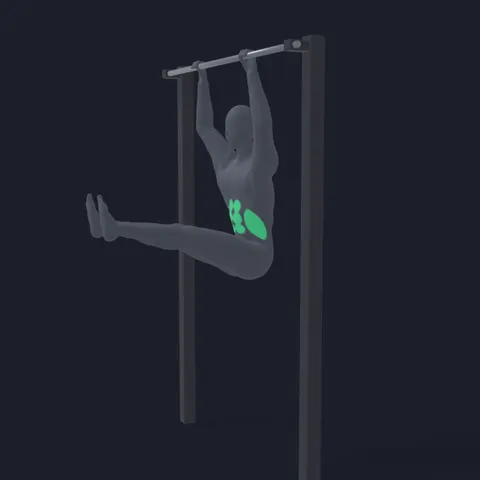 Hanging Leg Raise demo