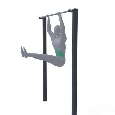 Hanging Leg Raise demo