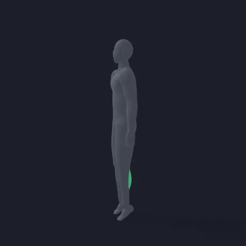 Calf Raises demo