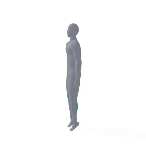 Calf Raises demo