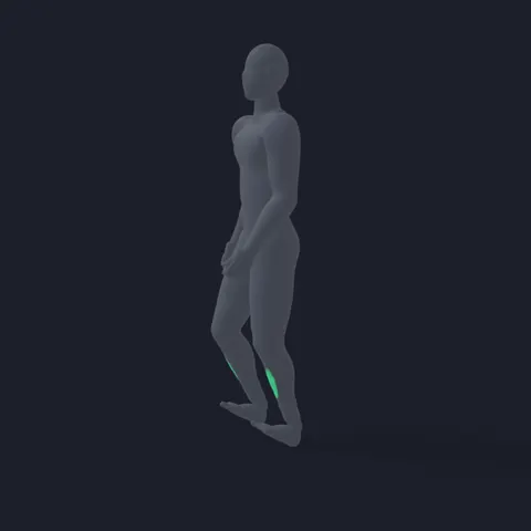 Heel Walk demo