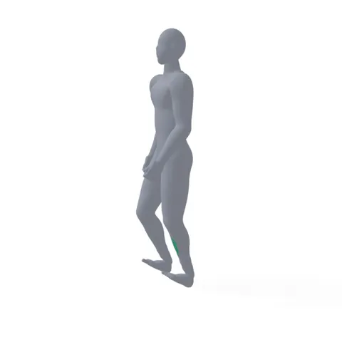 Heel Walk demo