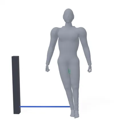 Hip Adduction Against Band demo