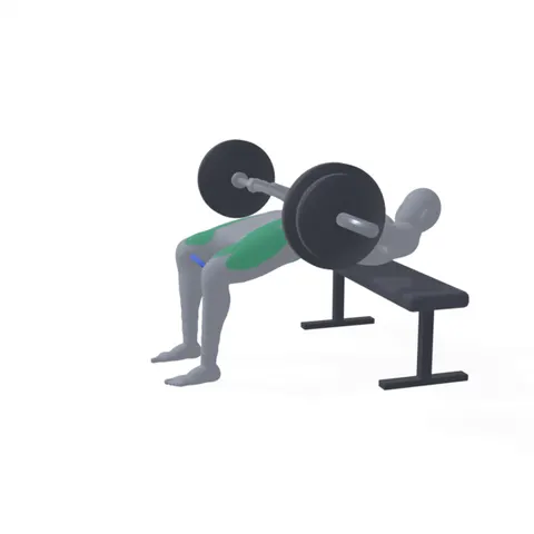 Hip Thrust with Band Around Knees demo