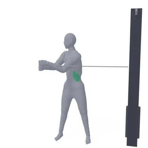 Horizontal Wood Chop with Cable demo