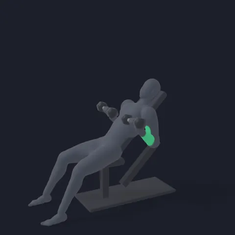 Incline Dumbbell Curl demo