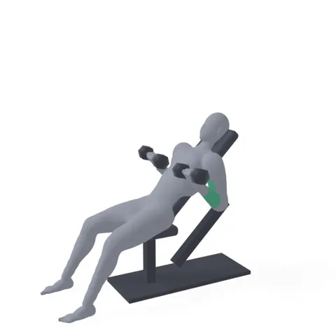 Incline Dumbbell Curl demo