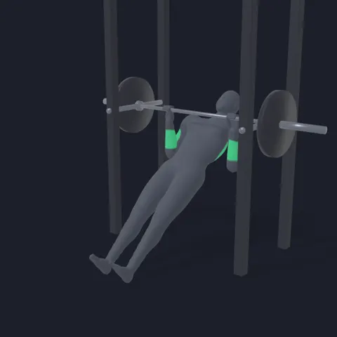 Inverted Row demo