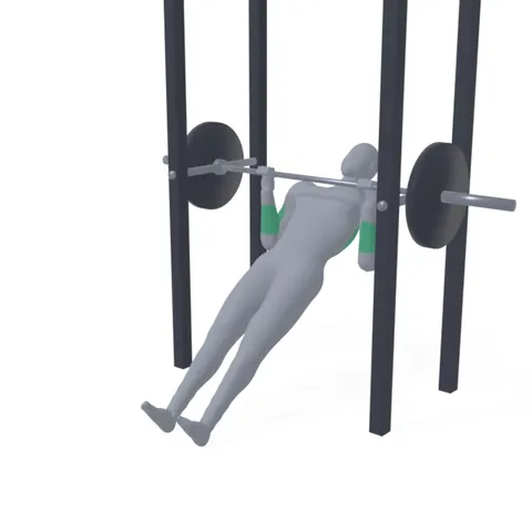 Inverted Row demo