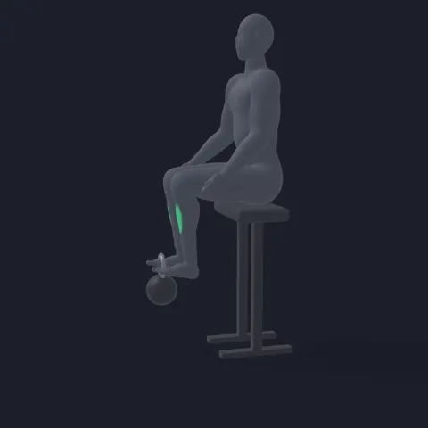 Kettlebell Tibialis Raise demo