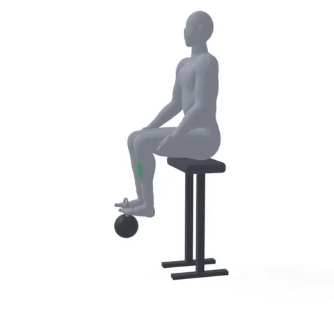 Kettlebell Tibialis Raise demo
