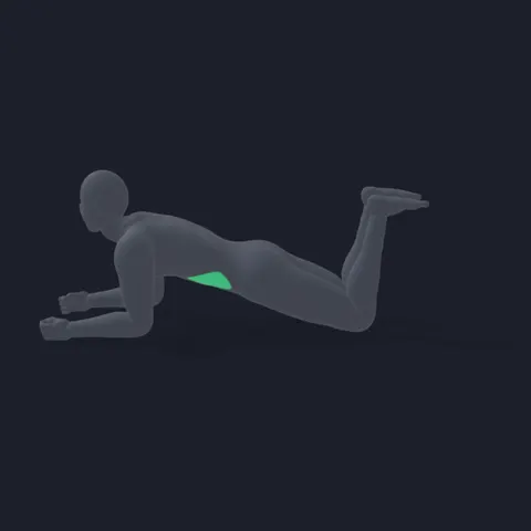 Kneeling Plank demo
