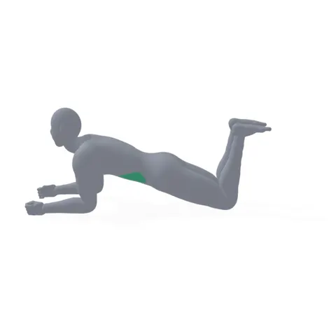 Kneeling Plank demo